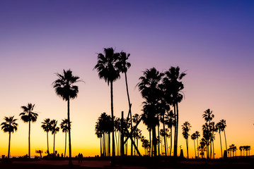 Obraz premium Venice Beach