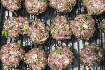 Kabab on the grill