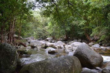 Naklejka na ściany i meble Stones at a river in the Daintree rainforest