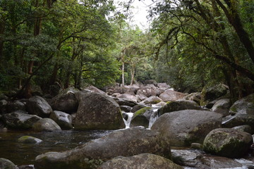 Fototapeta na wymiar Stones at a river in the Daintree rainforest