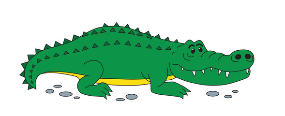 Crocodile isolated on white - jpg illustration