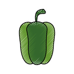 Pepper fresh vegetable icon vector illustration graphic design