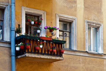 Balcony with flowers in the old building. City decor