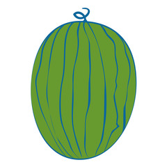 Watermelon delicious fruit icon vector illustration graphic design