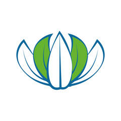 Fruit leaves isolated icon vector illustration graphic design