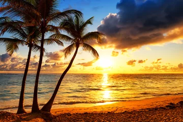 Abwaschbare Fototapete Meer / Sonnenuntergang Kokospalmen gegen farbenprächtigen Sonnenuntergang