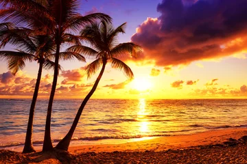 Fototapete Meer / Sonnenuntergang Kokospalmen vor buntem Sonnenuntergang