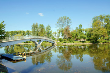 Wood Bridge across the river in the forest in summer