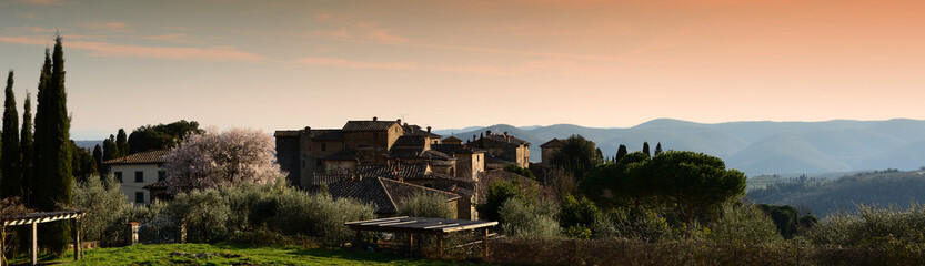 Fototapeta na wymiar The Volpaia village, a medieval village in Tuscany, near Florence in Chianti. Italy.