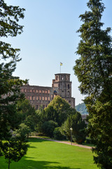 Fototapeta na wymiar The old castle of Heidelberg with a park