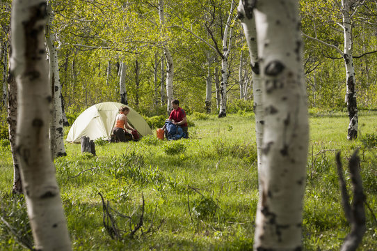 Setting up camp on backpacking trip, Uinta National Forest, Wasatch Mountains, Utah, USA