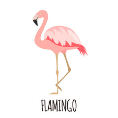 Cute Pink flamingo in flat style.