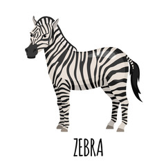 Fototapeta na wymiar Cute Zebra in flat style