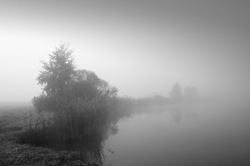 Shore of Lake in Dense Fog, Black and White