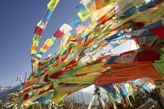 Low angle view of colourful prayer flags, Shangri-la County, Yunnan, China