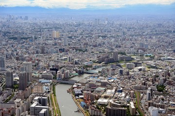 Fototapeta premium 隅田川・千住大橋