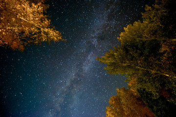 Long exposure of the night sky with stars and Milky Way in Aspen