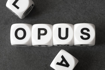 word opus on toy cubes
