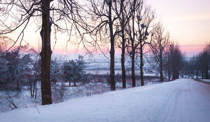Obraz premium Sunset in winter forest