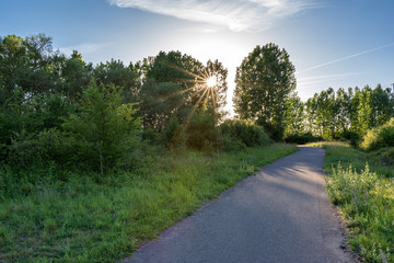 French countryside - Lorraine. A small quiet footpath along the Moselle at sunset