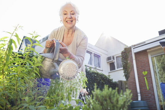 Senior woman in garden, watering plants