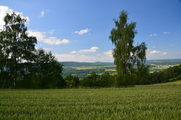 Blauer Himmel über Wald und Feld