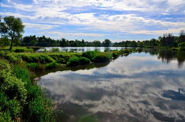 półwysep na środku stawu