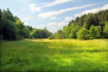 sommer im land