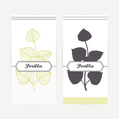 Hand drawn perilla in outline and silhouette style. Spicy herbs