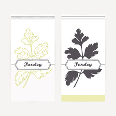 Hand drawn parsley in outline and silhouette style. Spicy herbs