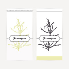 Hand drawn tarragon in outline and silhouette style. Spicy herbs