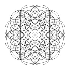 Sacred Geometry. Golden Section. Vector 10 eps