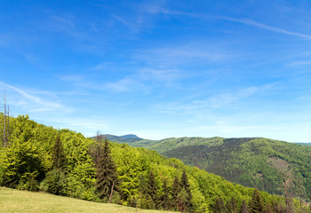 Landscape. Green forest of the mountain, blue sky.