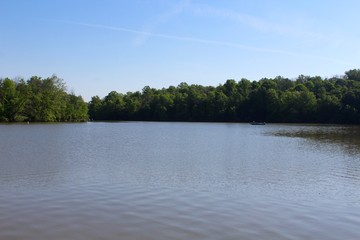 The lake at the park on a sunny day.