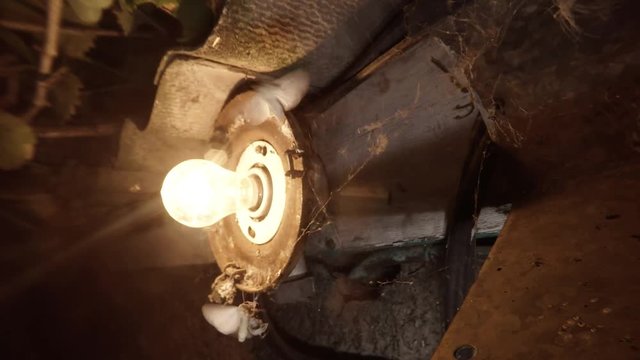 Night Butterflies Hit and Free in Spider's Web in Light of Blinking Lamp Under Roof