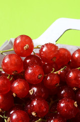 Red gooseberries basket, fruits background