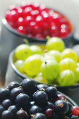 Juicy berries of a gooseberry, black and red currant in cups, close up. Summer harvest of berries