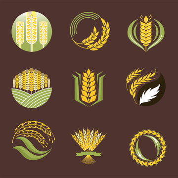Cereal ears and grains agriculture industry or logo badge design vector food illustration organic natural symbol