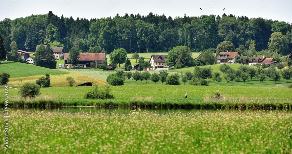 1000_F_159612028_iLoboibxjukAXeT2ew6A4TmV4yw1q1PO.jpg