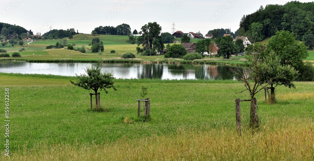 1000_F_159612258_POb728035qNAsF17vfAzIe80ktt0e93t.jpg