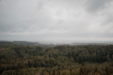 aerial view over the green forest in evening. Raining. Cloudy mystery. Landscapes of Latvia