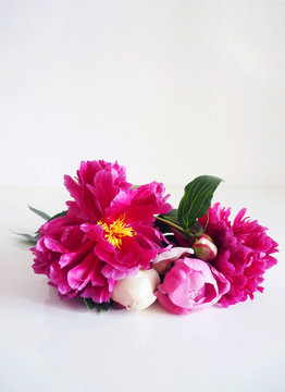 Closeup of floral bouquet made of peony flowers lying on the white table.
