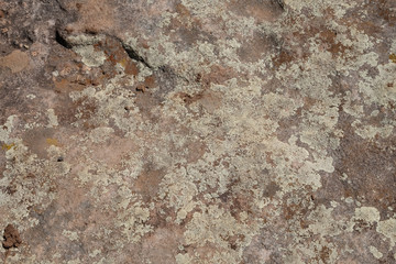Boulder with Moss Texture
