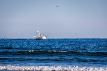 Shrimp boat on the open calm sea with a bird flying overhead