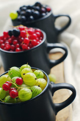 Juicy berries of a gooseberry, black and red currant in cups, close up. Summer harvest of berries