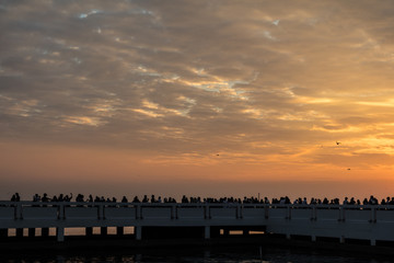 Fototapeta premium Sunset sky with orange clouds and group of people silhouette 