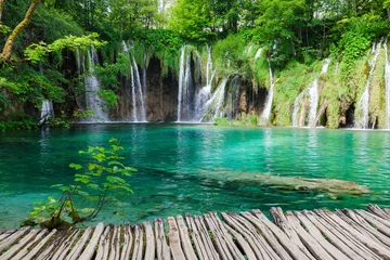 Foto op Plexiglas Mooie zomerse groene boswaterval © Nickolay Khoroshkov