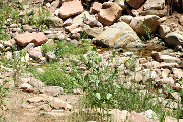 Rocks in the Creek