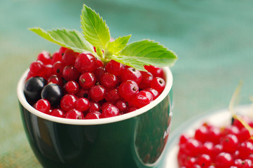 Juicy berries red currant and green leaf of mint in cups, close up. Summer harvest of berries