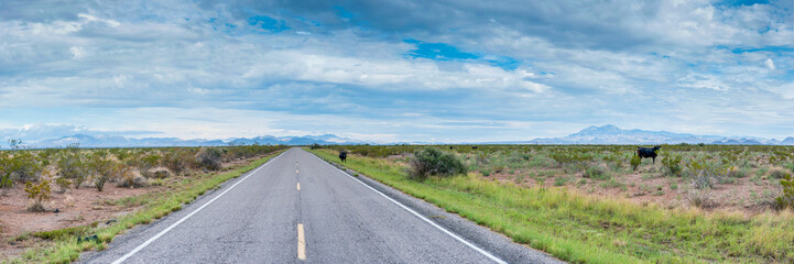 Fototapeta na wymiar NM Roadside Panorama